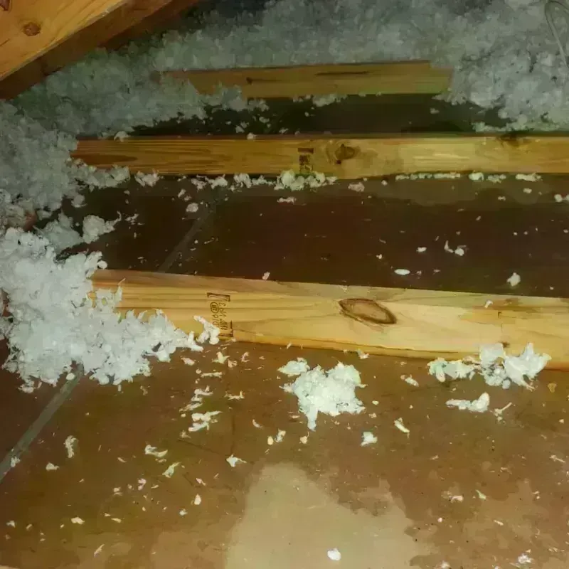 Attic Water Damage in Prichard, AL