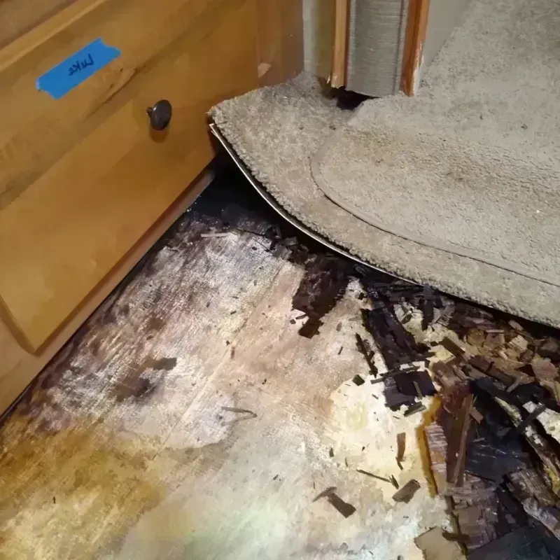 Wood Floor Water Damage in Prichard, AL